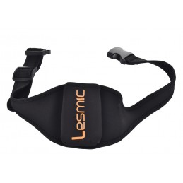 Lesmic, standard