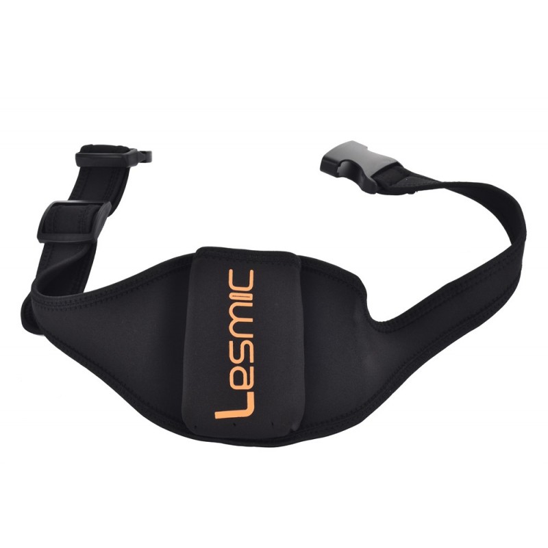 Lesmic, standard