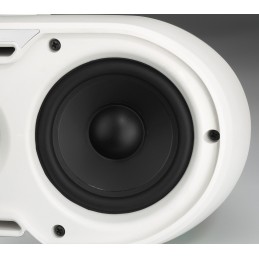 MKS-248/WS