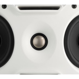 MKS-248/WS